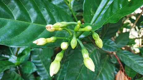 拉瑞安称开发《博德之门3》时 有时确实需要加班