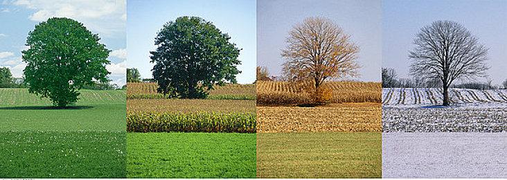 索尼互娱强调《浪人崛起》并非取消韩国发行 而是原本就没计划