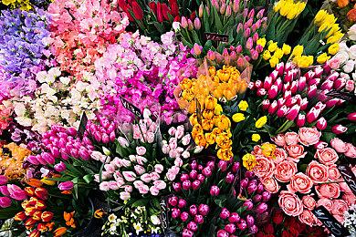 虽然《黑豹》项目已经取消 但EA与漫威的合作仍在推进