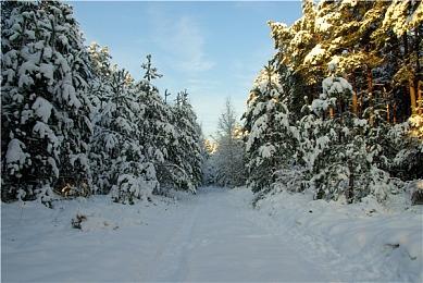 《合金装备》类游戏《黑色国度》12分钟实机 虚幻5引擎